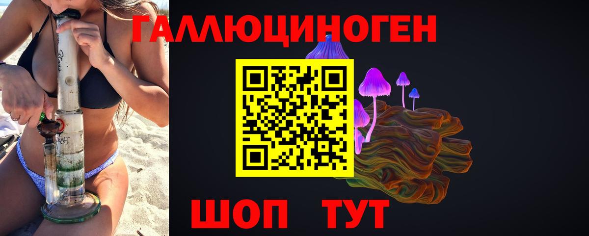 Ржев  Галлюциногенные грибы Psilocybine cubensis  Вход с VPN 